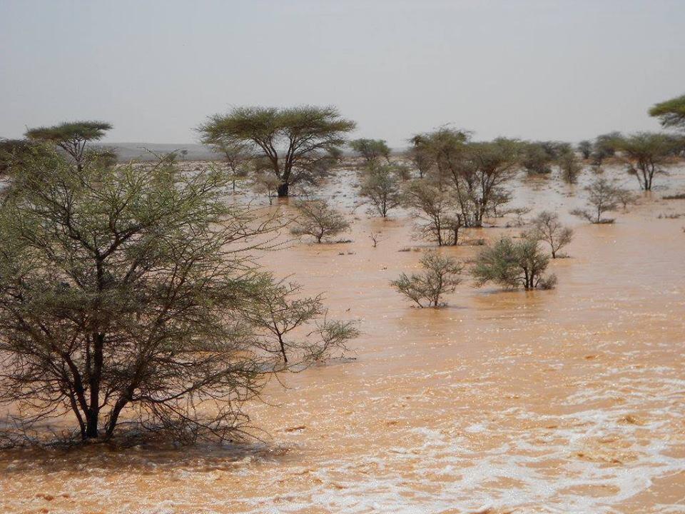 The rain comes as the region faces a severe drought. [Photo: Archive]