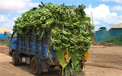 a-pickup-truck-carries-bananas-from-a-farm-in-Afgoye-town-near-the-Somali-capital-Mogadishu-to-a-nearby-market