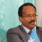Mohamed Abdullahi Farmajo elected as Somali President
