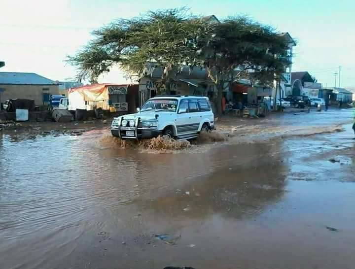 Roobab ka da’ay qaybo kamid ah gobolada Puntland. [Xigashada Sawirka: Facebook/ Jama Deperani]