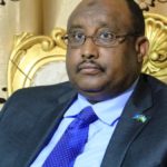 Turkey does not make useful work in Puntland, President says