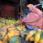 Somalia’s Economy Rebounding from ‘Triple Shock’