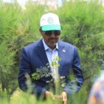 First Somali Reforestation Carbon-Credit Plan Supported by UN
