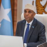 Somalia PM makes minor cabinet reshuffle