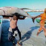 Somalia plans to improve its fisheries sector